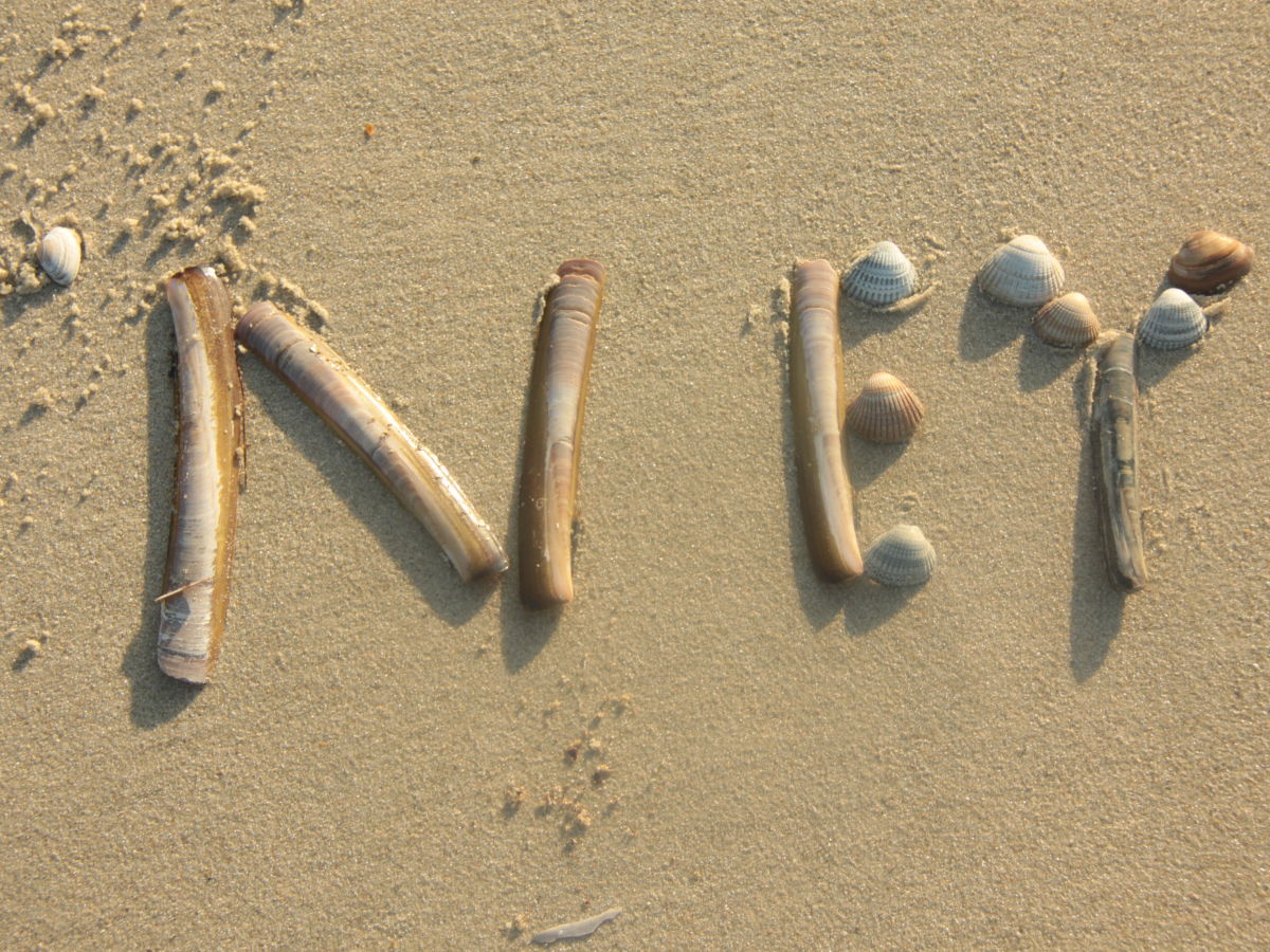 Holiday apartment Benno 3 - Outdoor photo 2