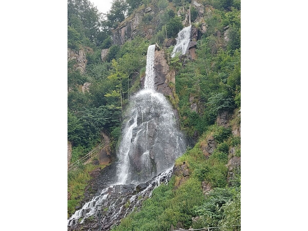 Holiday house "Roswitha"in Trusetal near Rennsteig