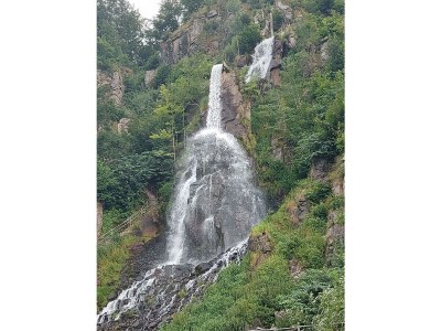 Holiday house "Roswitha"in Trusetal near Rennsteig in Brotterode-Trusetal - Holiday house