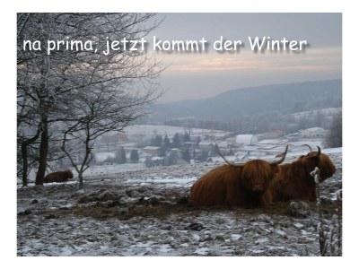 Holiday house "Roswitha"in Trusetal near Rennsteig - Outdoor photo 10