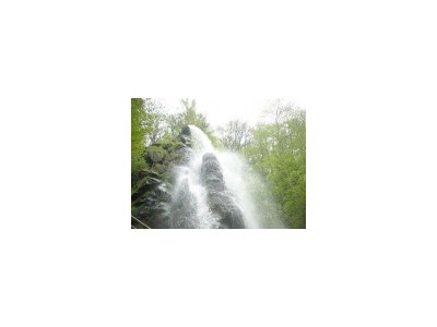 Holiday house "Roswitha"in Trusetal near Rennsteig - Environment photo 15