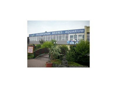 Holiday house "Roswitha"in Trusetal near Rennsteig - Environment photo 22