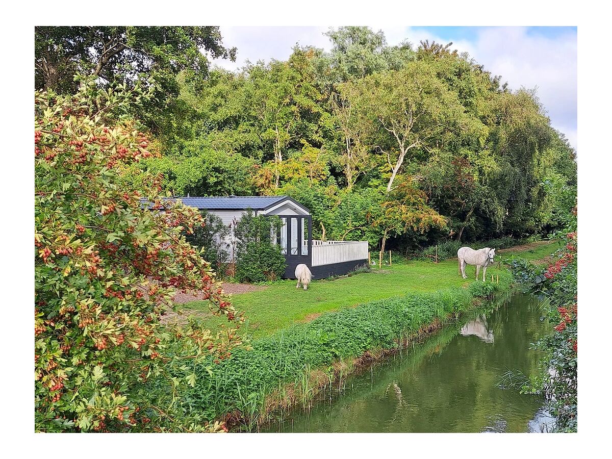 Holiday house Nature house 'The Blue Heron - Outdoor photo 3