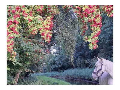 Holiday house Nature house 'The Blue Heron - Outdoor photo 6