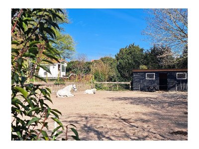 Holiday house Nature house 'The Blue Heron - Outdoor photo 10