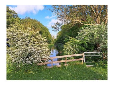 Holiday house Nature house 'The Blue Heron - Outdoor photo 11