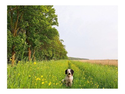 Holiday house Nature house 'The Blue Heron - Outdoor photo 12