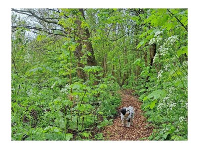 Holiday house Nature house 'The Blue Heron - Outdoor photo 15
