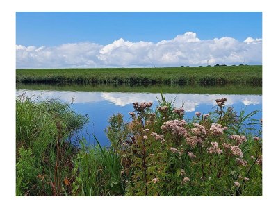 Holiday house Nature house 'The Blue Heron - Outdoor photo 16