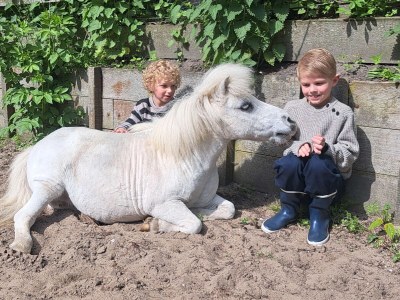 Holiday house Nature house 'The Blue Heron - Outdoor photo 17