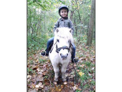 Holiday house Nature house 'The Blue Heron - Outdoor photo 18