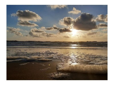 Holiday house Nature house 'The Blue Heron - Environment photo 26