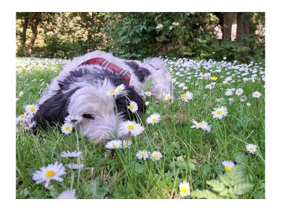 Holiday house Nature house 'The Blue Heron - Environment photo 30