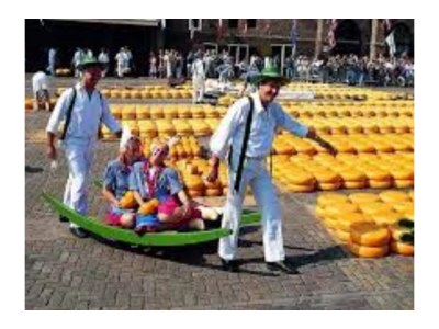 Holiday house Nature house 'The Blue Heron - Environment photo 32