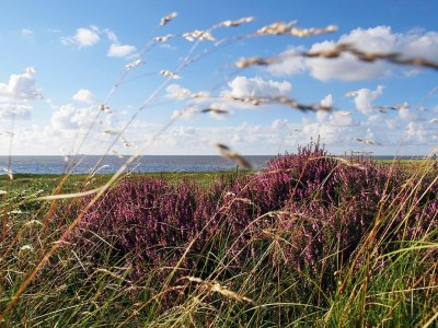 Holiday apartment FeWo C7 - Environment photo 26