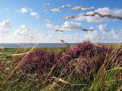 Holiday apartment Wohnung 1 - Environment photo 20