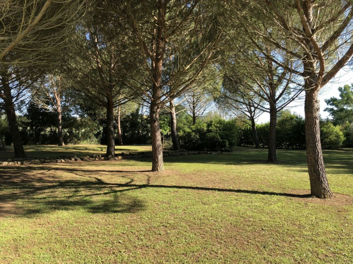 Holiday apartment Casale San Giovanni - Holiday apartment about 10km from the sea - Outdoor photo 5