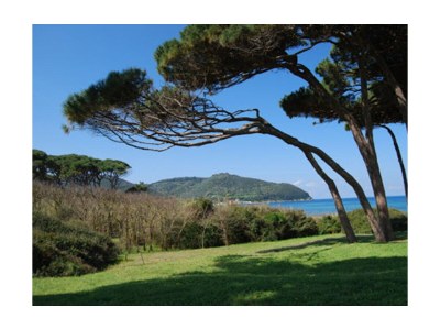 Holiday apartment Casale San Giovanni - Holiday apartment about 10km from the sea - Environment photo 21