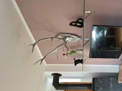 Apartment Appartement/Fewo, Dusche, WC, 1 Schlafraum - Features photo 13