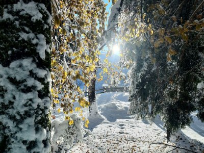 Apartment Appartement/Fewo, Dusche, WC, 1 Schlafraum - Features photo 17