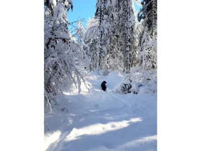 Apartment Appartement/Fewo, Dusche, WC, 1 Schlafraum - Features photo 20