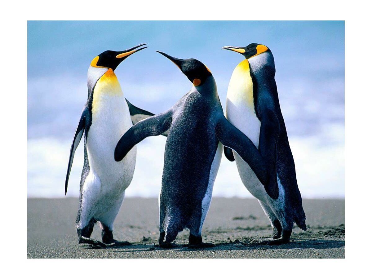 Holiday room Doppelzimmer Hofseite - Outdoor photo 2