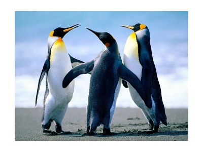 Holiday room Doppelzimmer Hofseite - Outdoor photo 2