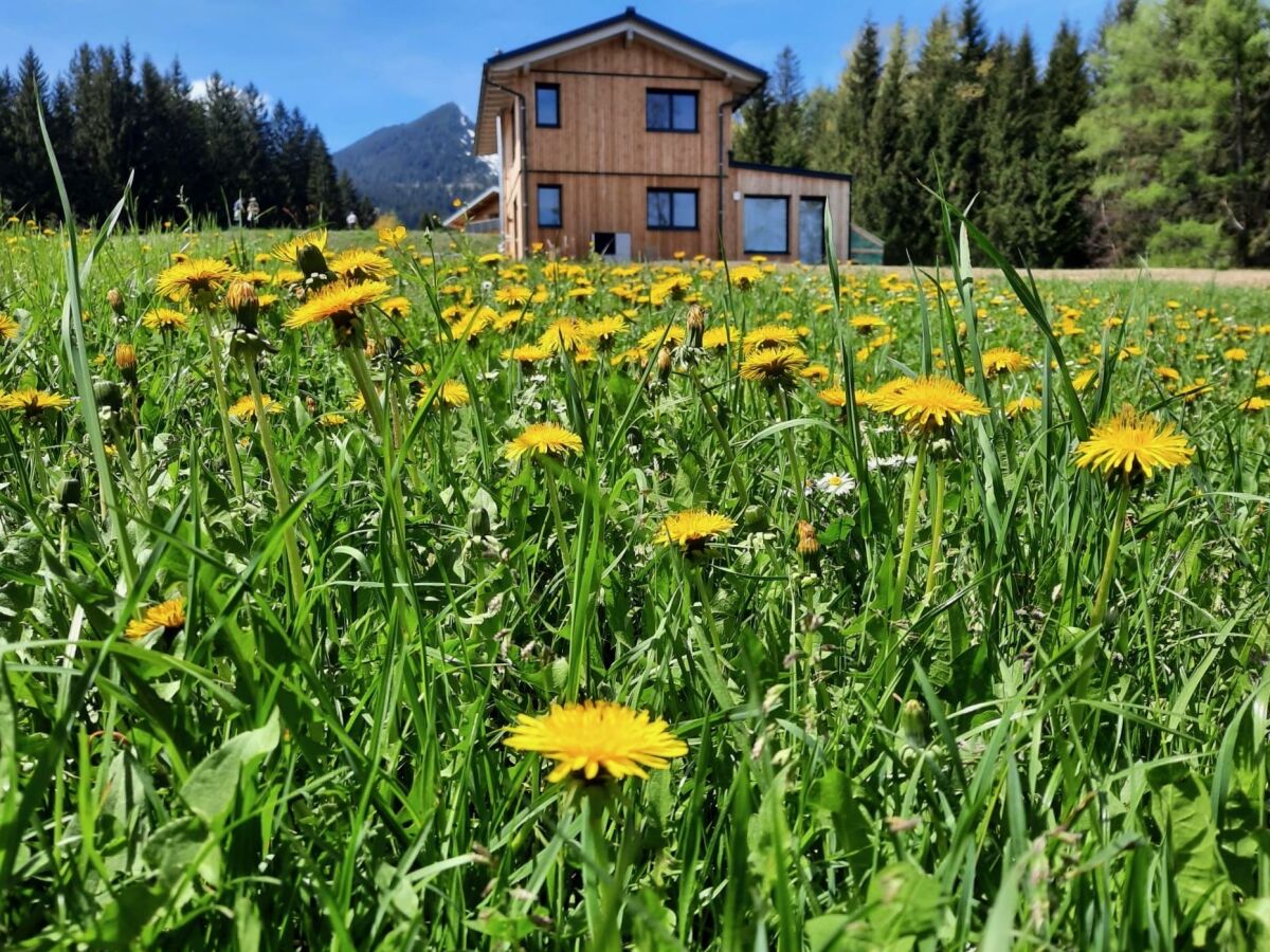 Apartment Ferienhaus, Dusche oder Bad, WC, 3 Schlafräume - Outdoor photo 2