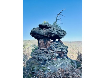 Apartment Ferienwohnung an der Kapelle in Annweiler-Queichhambach - Apartment