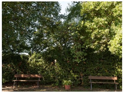 Holiday house No title - Environment photo 30