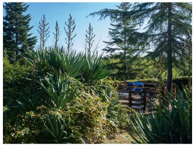 Holiday house No title - Environment photo 31