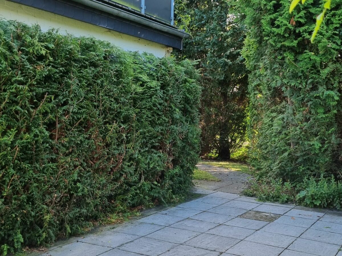 Holiday apartment Ferienwohnung Schaumkrone - Outdoor photo 4