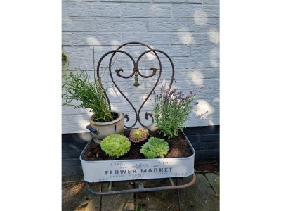 Holiday apartment Ferienwohnung Schaumkrone - Outdoor photo 5