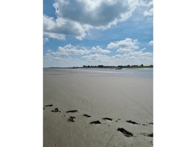 Holiday apartment Ferienwohnung Schaumkrone - Environment photo 57