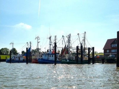 Holiday apartment Ferienwohnung Kaptain´s Kombüse - Environment photo 45