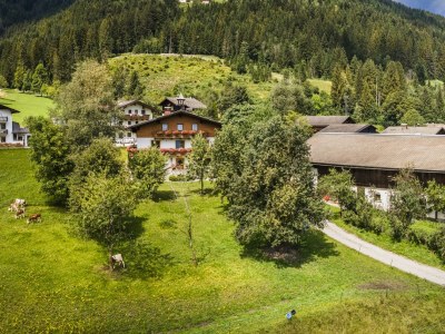 Apartment Ferienwohnung Schartlhof (1-11 Pers./3 SZ, 1 WSR) - Outdoor photo 23