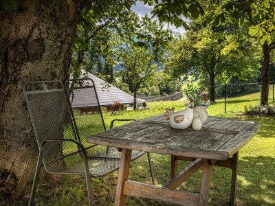 Apartment Ferienwohnung Schartlhof (1-11 Pers./3 SZ, 1 WSR) - Outdoor photo 25