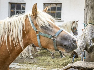 Apartment Ferienwohnung Schartlhof (1-11 Pers./3 SZ, 1 WSR) - Outdoor photo 26
