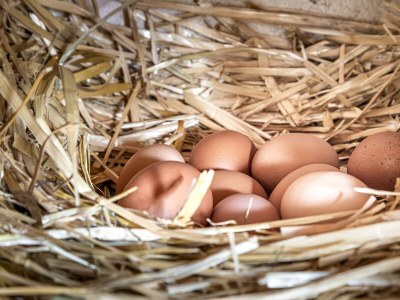 Apartment Ferienwohnung Schartlhof (1-11 Pers./3 SZ, 1 WSR) - Outdoor photo 31
