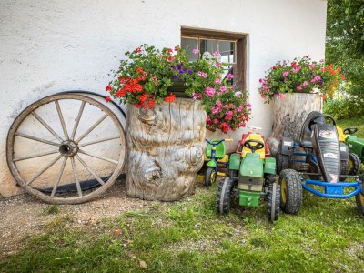 Apartment Ferienwohnung Schartlhof (1-11 Pers./3 SZ, 1 WSR) - Outdoor photo 36
