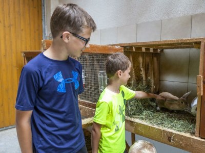 Apartment Benzeck (1-5 Pers./2 SZ, 1 WSR) - Outdoor photo 25