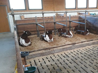 Apartment Benzeck (1-5 Pers./2 SZ, 1 WSR) - Outdoor photo 29