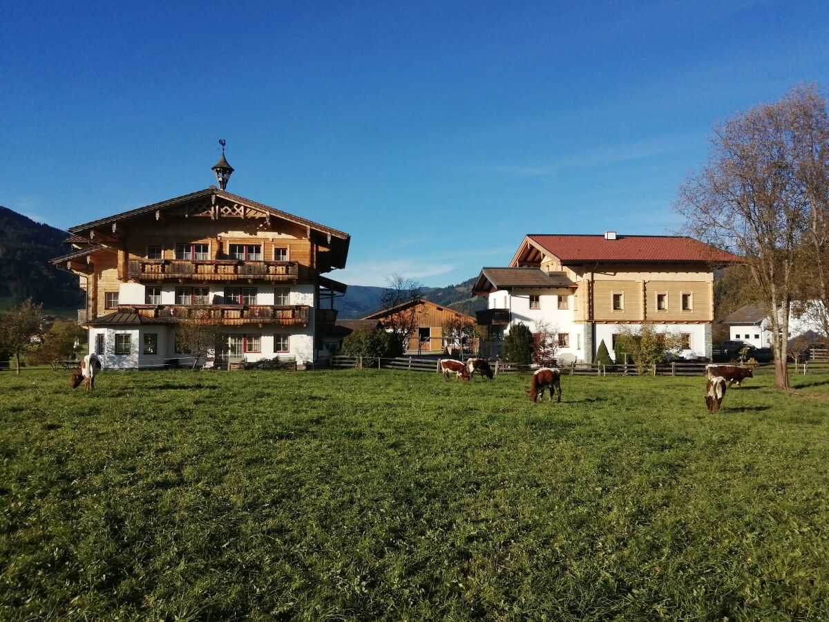 Apartment Almrausch (6-9 Pers./2 SZ, 1 WSR) - Outdoor photo 3