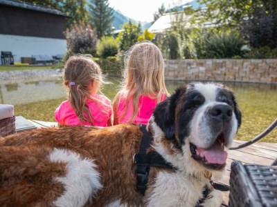 Apartment Ferienwohnung Mansardenloft - Outdoor photo 11