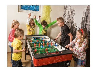 Apartment Ferienwohnung Mansardenloft - Outdoor photo 13