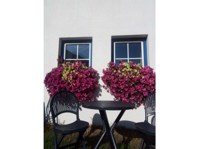 Apartment 3-Apartment/3 Schlafräume/ 2x Dusche,WC - Outdoor photo 12