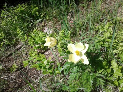 Apartment Ferienwohnung 4-6 Pers., 3 Schlafräume - Outdoor photo 8