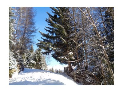 Apartment Studio-Appartement - Outdoor photo 9