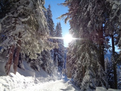 Apartment Studio-Appartement - Outdoor photo 23
