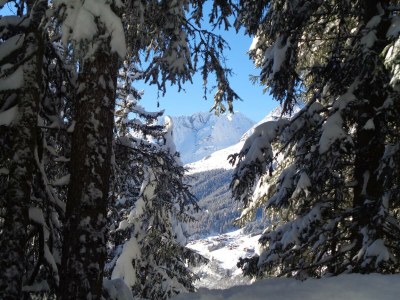 Apartment Studio-Appartement - Outdoor photo 26